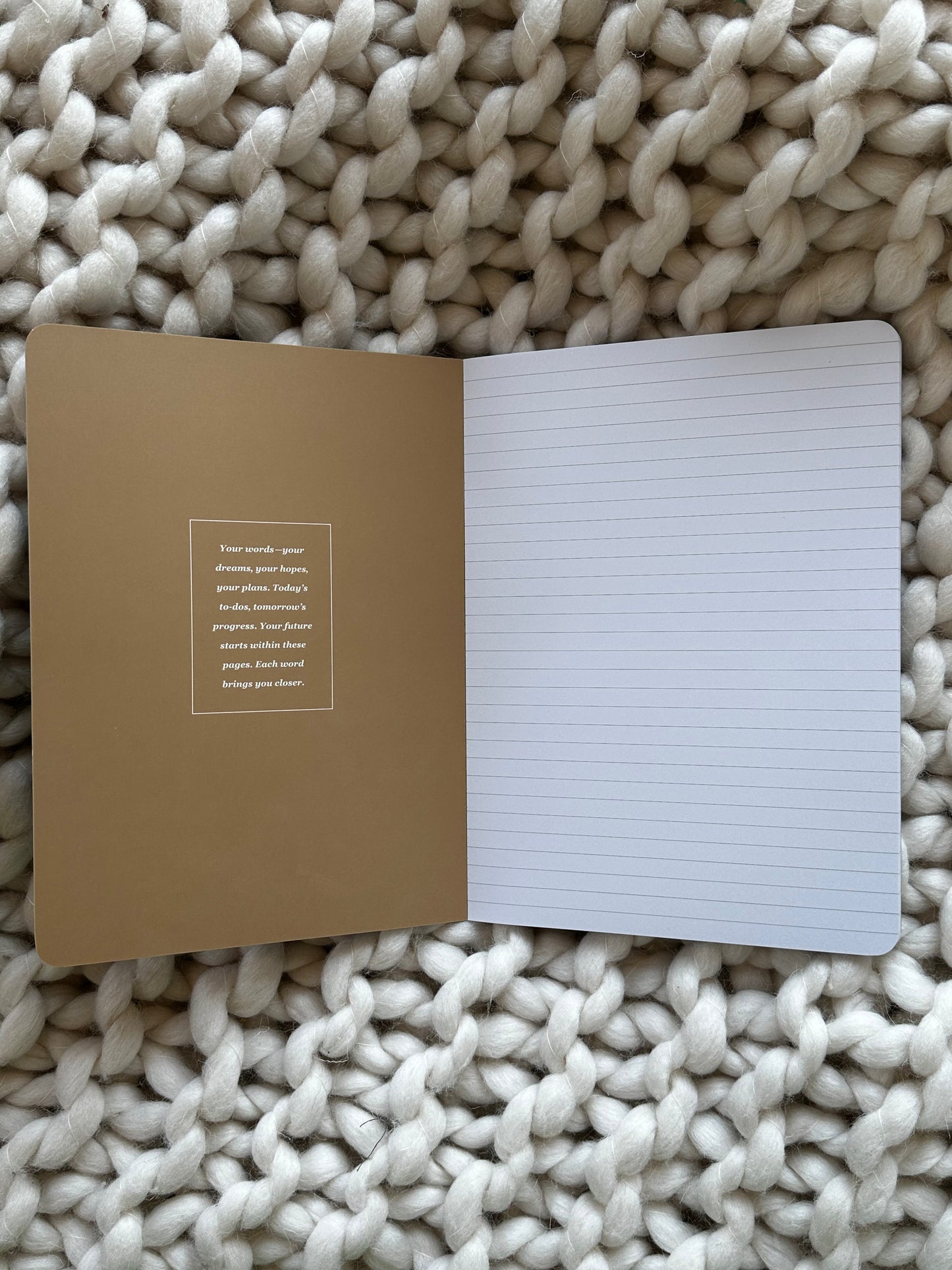 MORE THAN ANYTHING JOURNAL