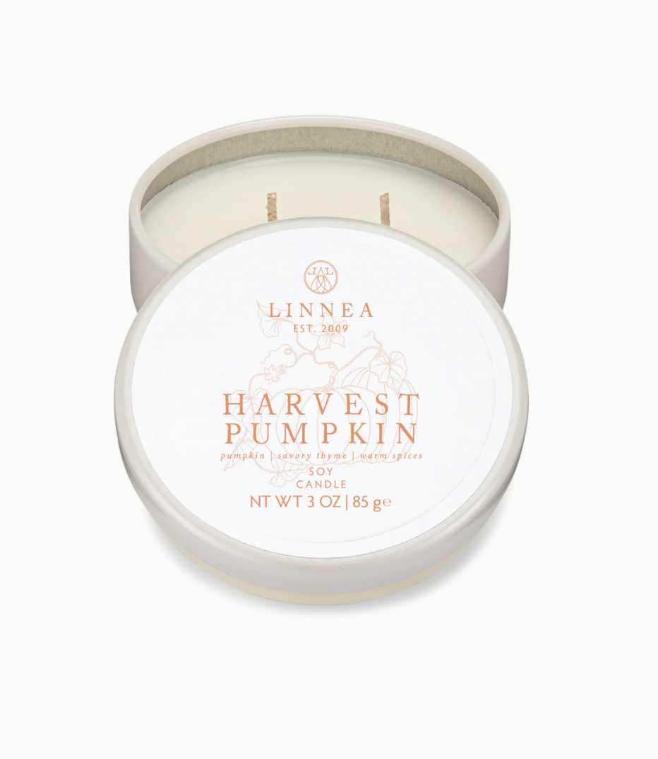 HARVEST PUMPKIN PETITE 2 WICK CANDLE