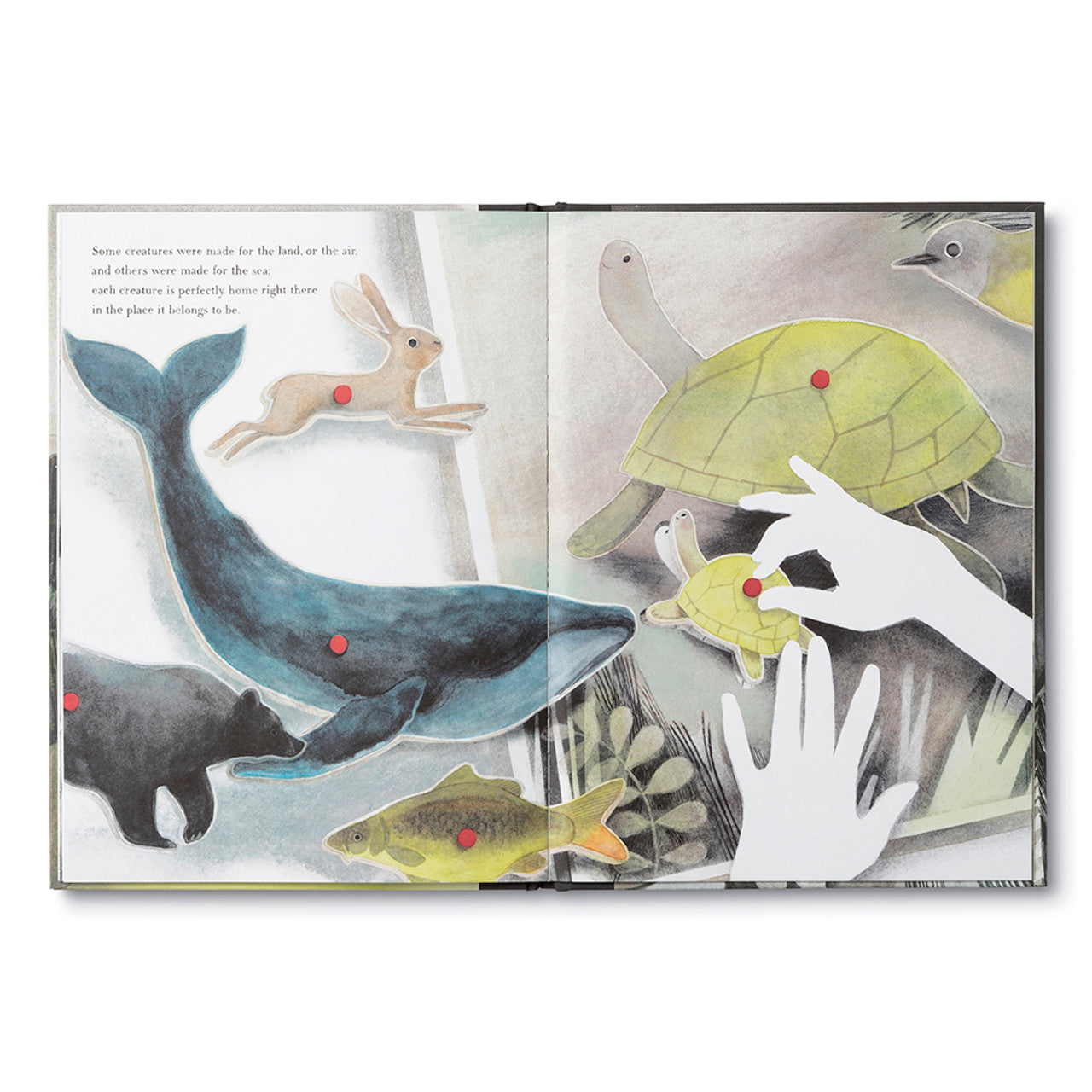 YOU BELONG HERE Childrens Book