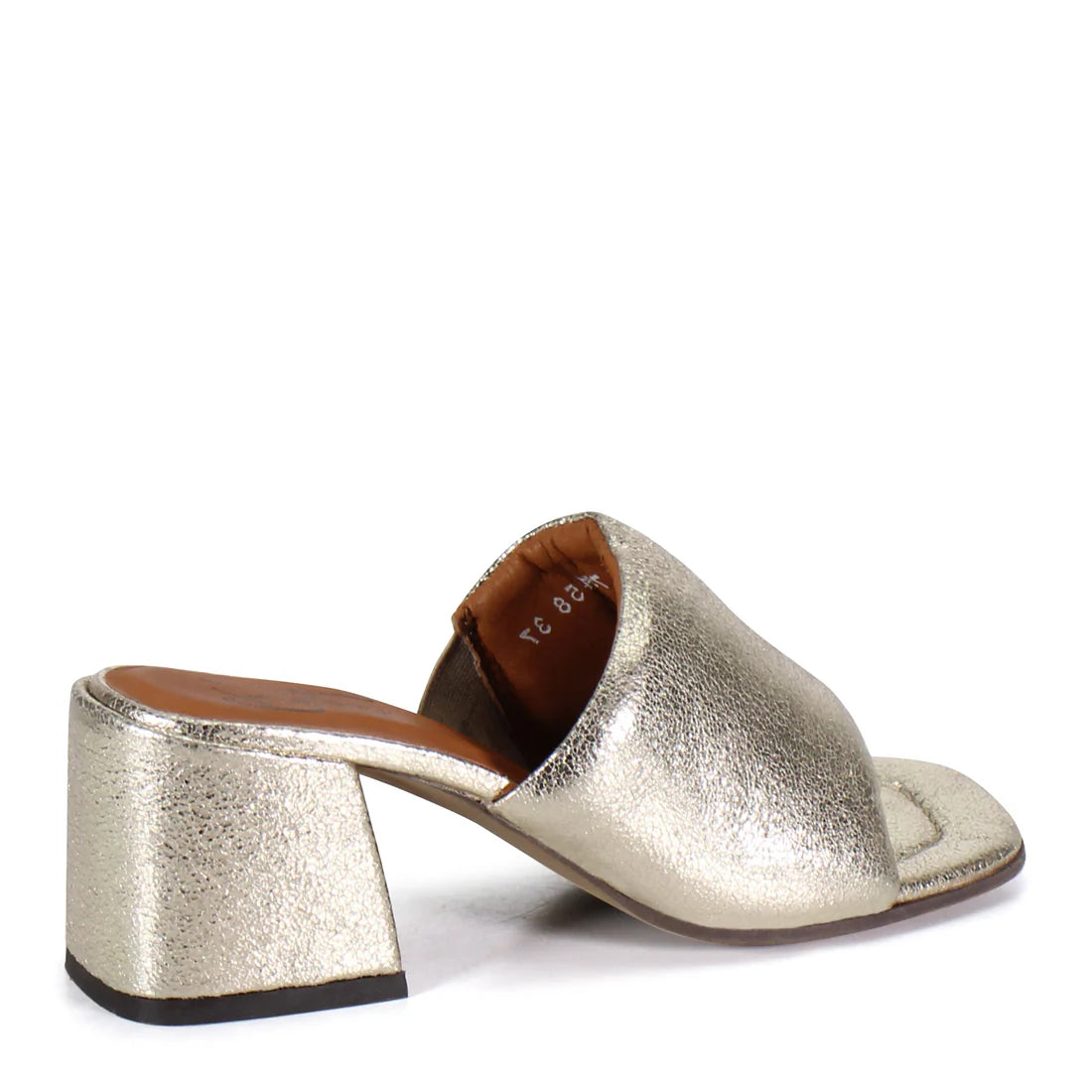 LA MONTE by DIBA TRUE