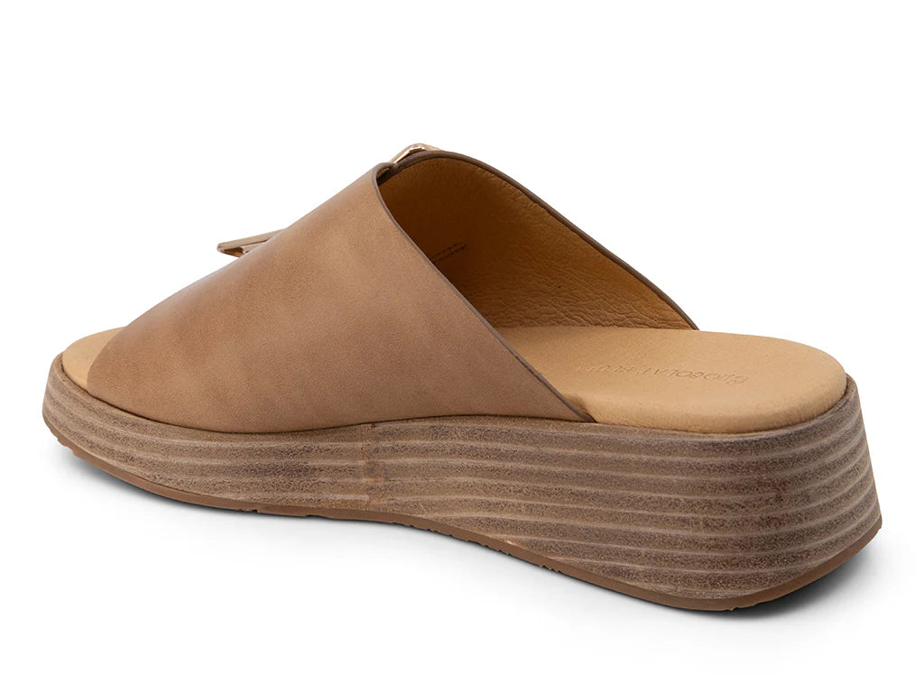ELA WEDGES
