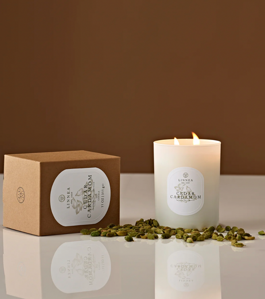 CEDAR CARDAMOM LARGE 2 WICK CANDLE