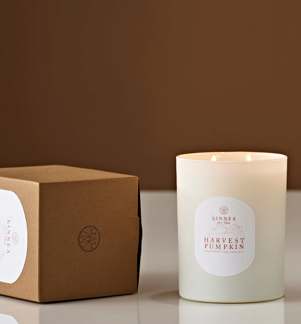 HARVEST PUMPKIN LARGE 2 WICK CANDLE