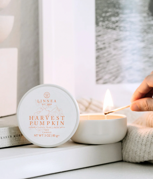 HARVEST PUMPKIN PETITE 2 WICK CANDLE