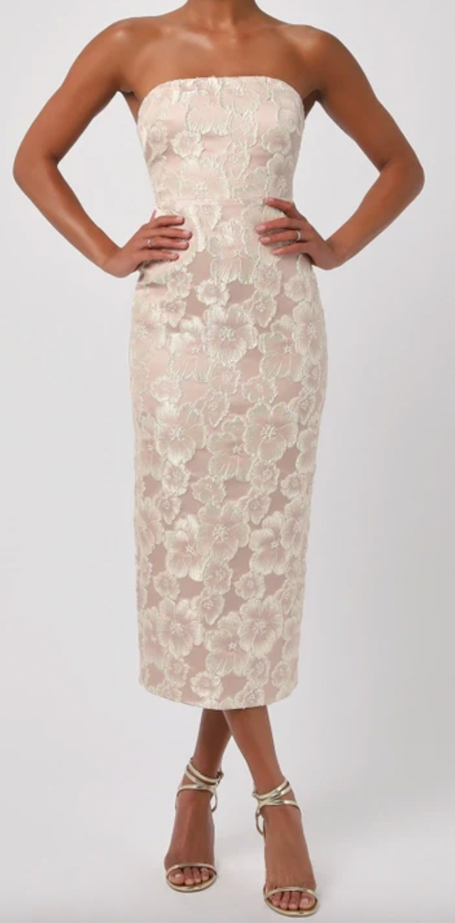 Beige strapless lace dress worn by a person on a white background
