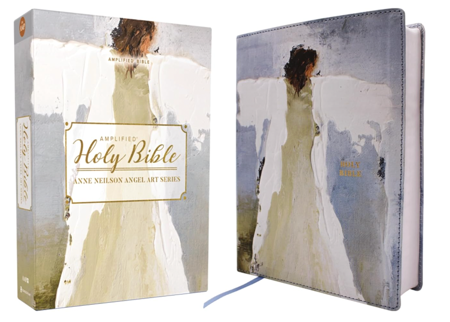 Amplified Holy Bible with artistic cover design on a white background