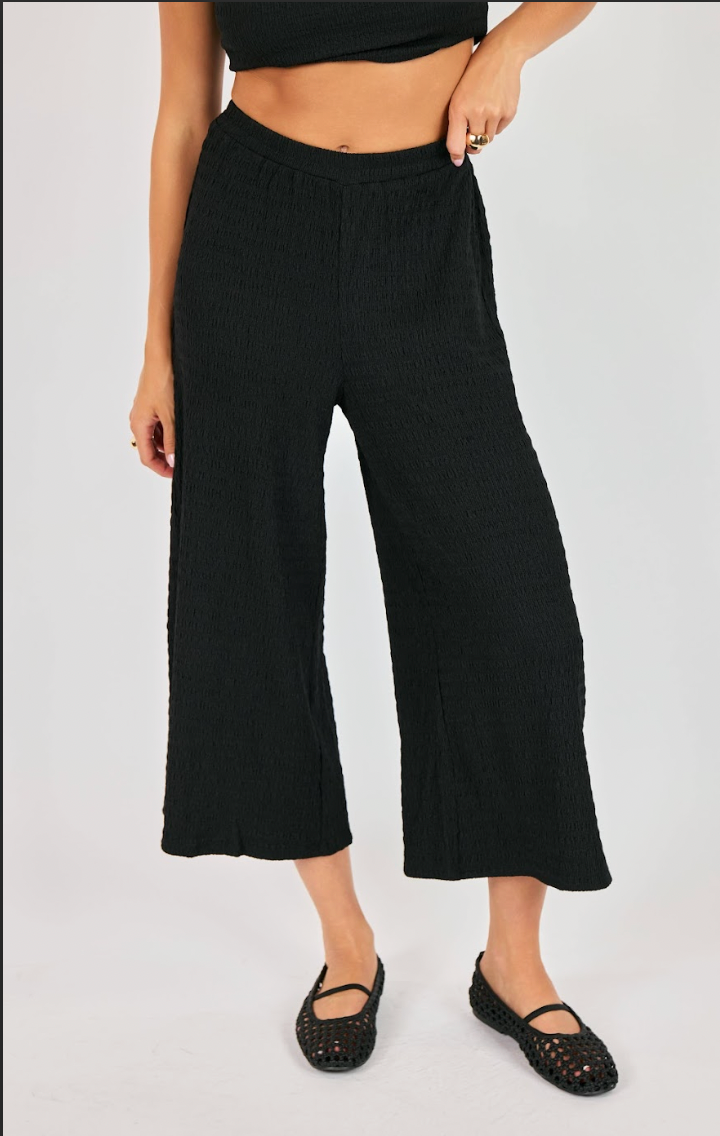 Person wearing black wide-leg pants on a plain background