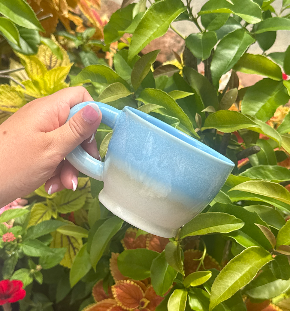 Ombre Ceramic Mug