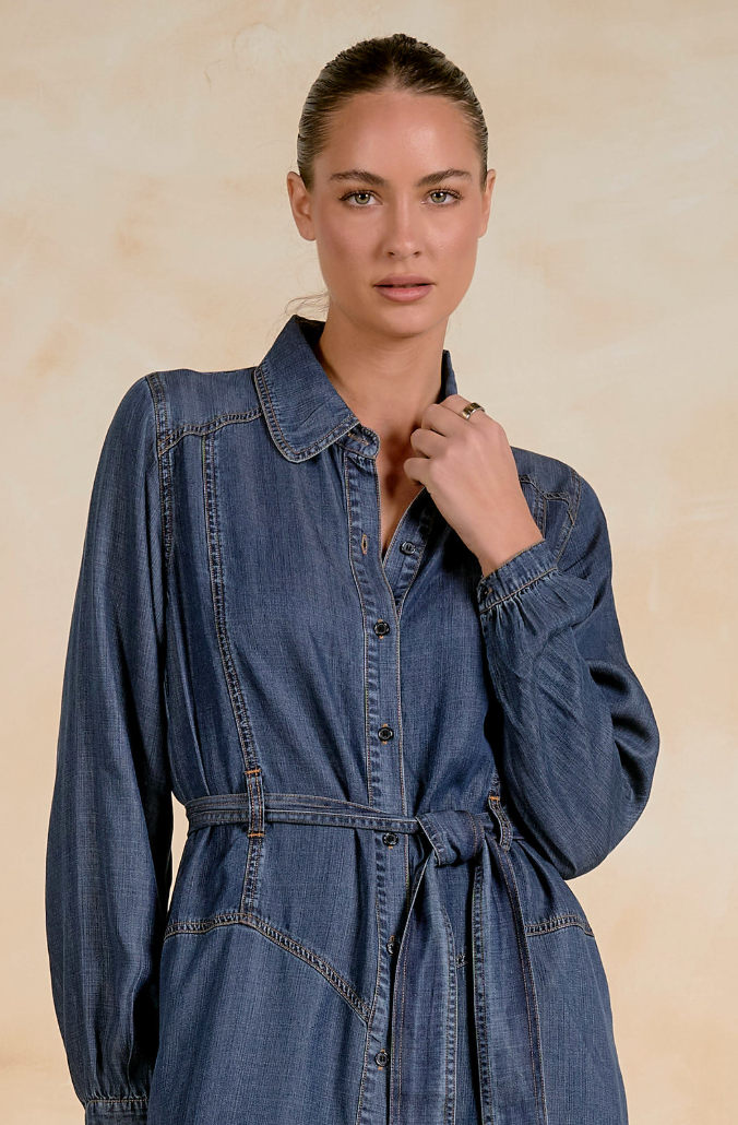 "WESTERN WANDER" Denim Maxi Dress by ELAN