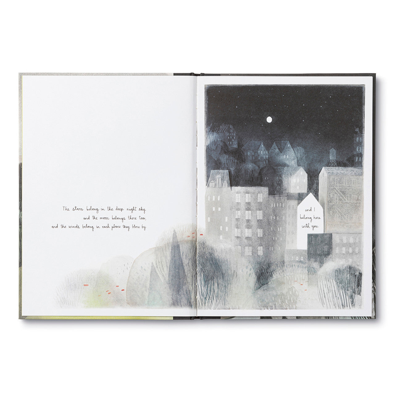 YOU BELONG HERE Childrens Book