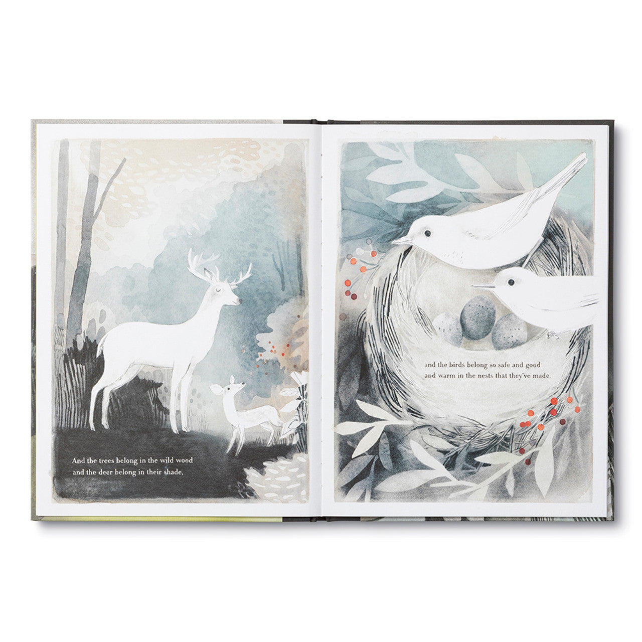 YOU BELONG HERE Childrens Book