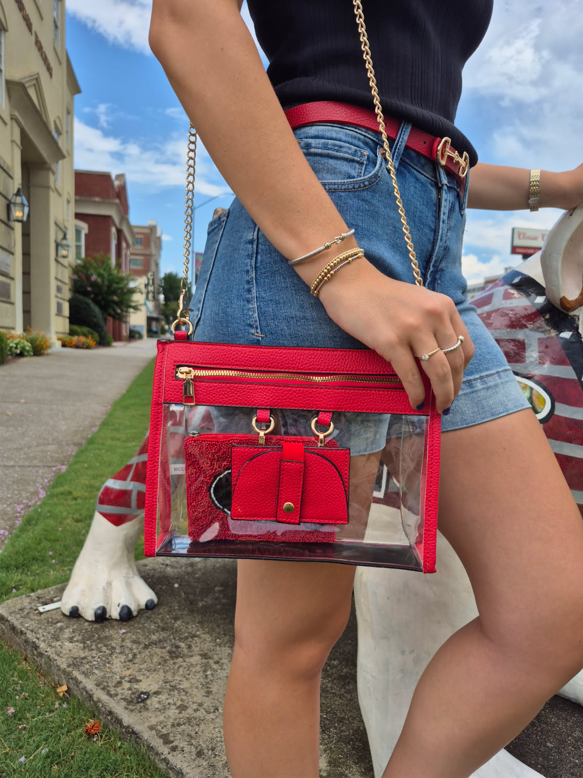 CLEAR STADIUM BAG