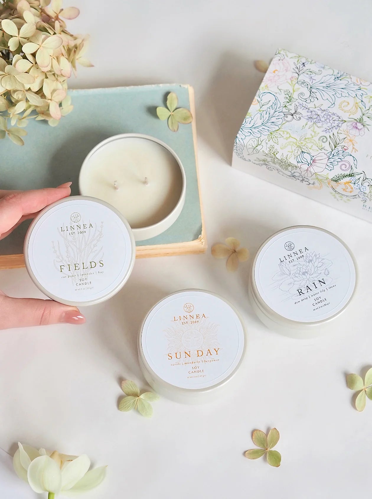 LINNEA RENEWAL DISCOVERY TRIO